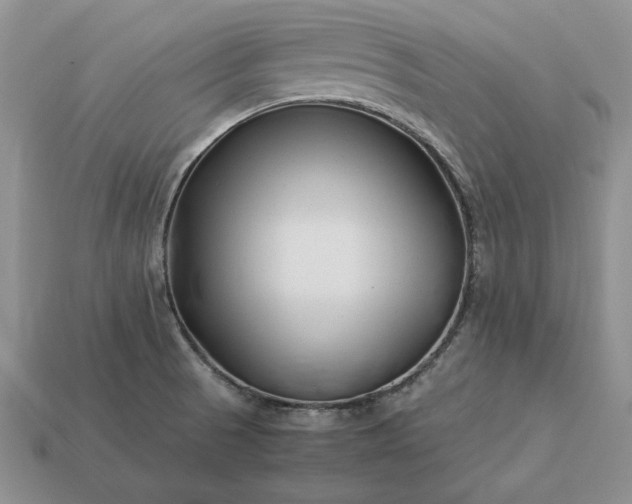 X0000113371521200909291040