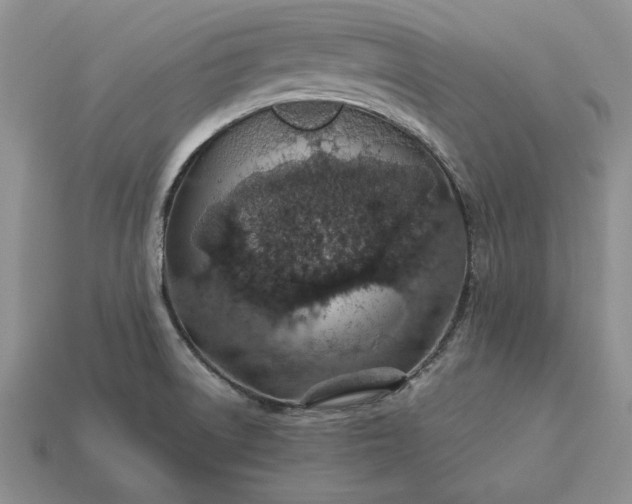 X0000113371522200909291040