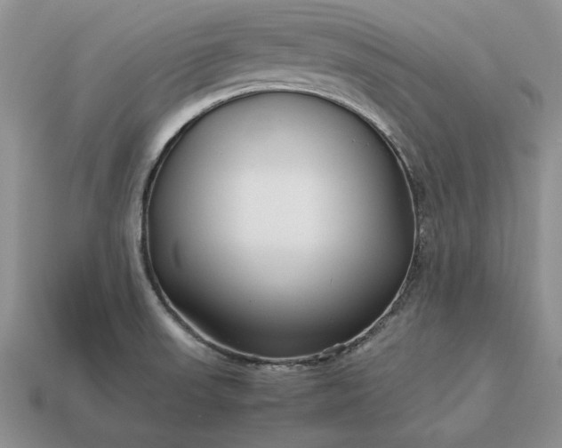 X0000113371523200909291040