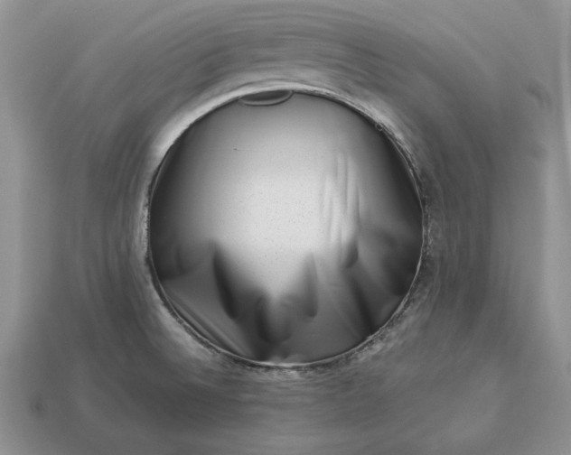 X0000113371524200909291040