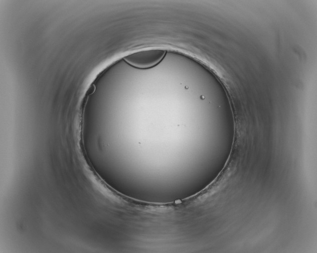 X0000113371526200909291040