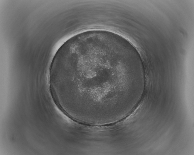 X0000113371527200909291040