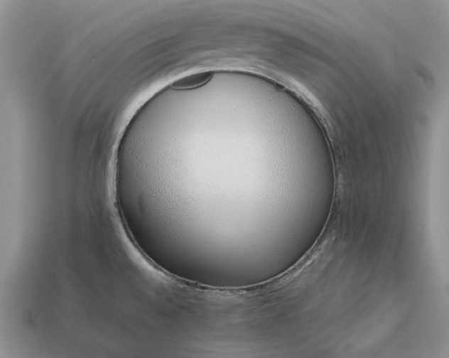 X0000113371528200909291040