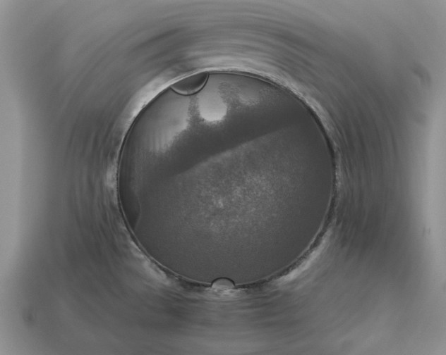 X0000113371529200909291040