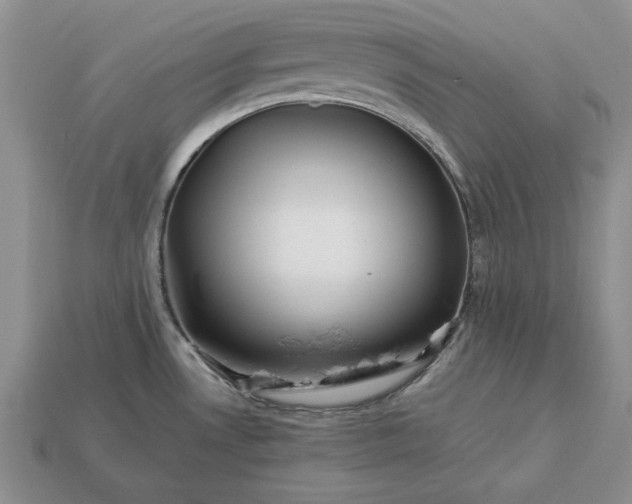 X0000113371530200909291040