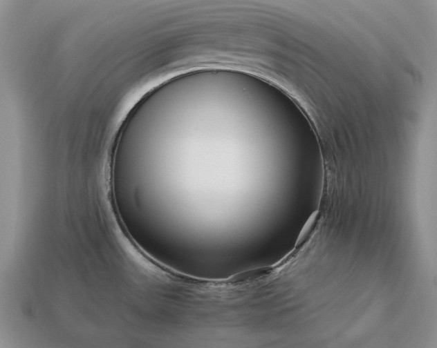 X0000113371531200909291040