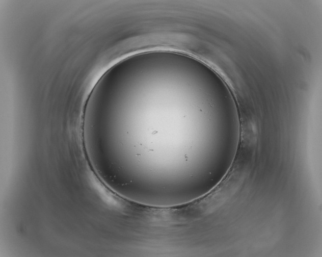 X0000113371532200909291040