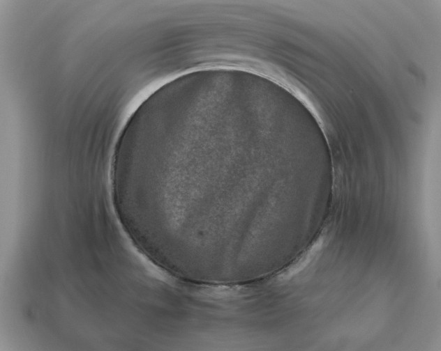 X0000113371533200909291040