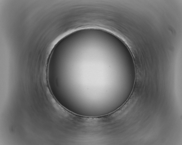 X0000113371534200909291040