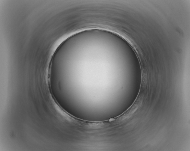 X0000113371535200909291040