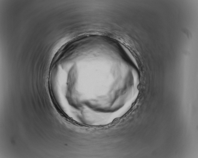 X0000113370003200910061110