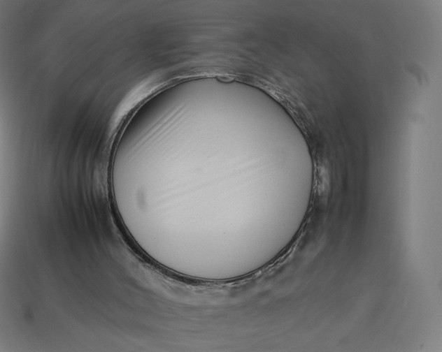 X0000113370004200910061110