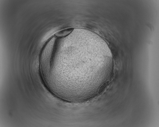 X0000113370005200910061110