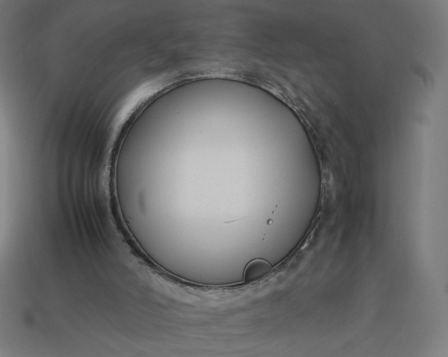 X0000113370006200910061110