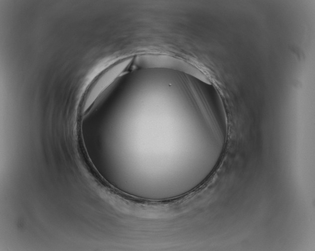 X0000113370008200910061110