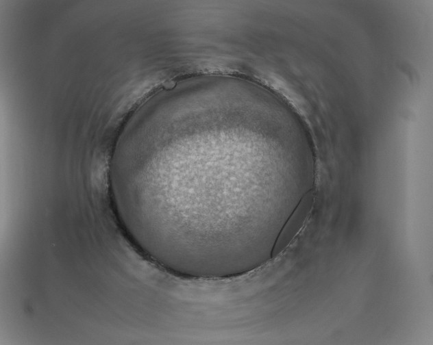 X0000113370009200910061110