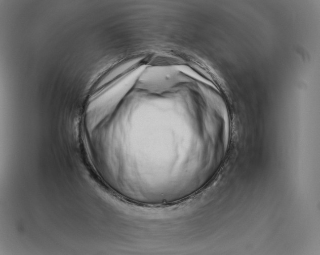 X0000113370010200910061110