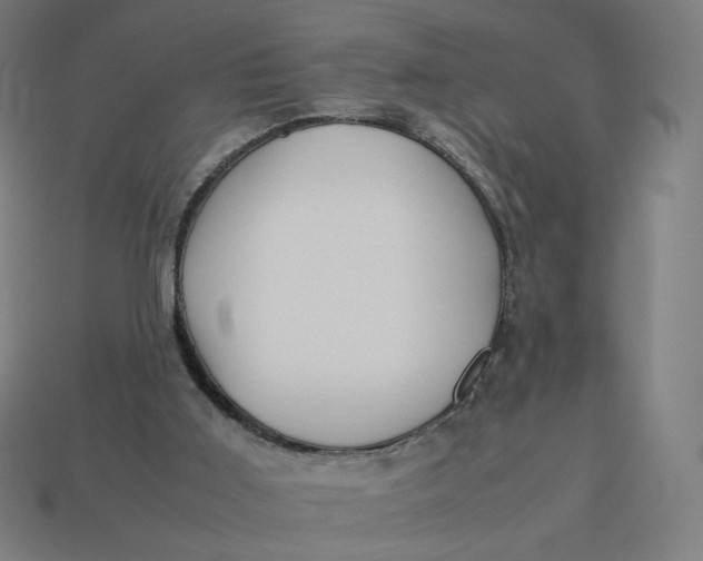 X0000113370011200910061110