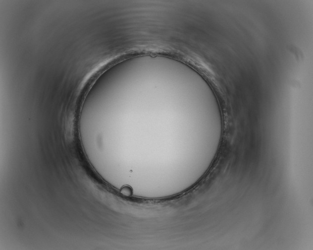 X0000113370012200910061110