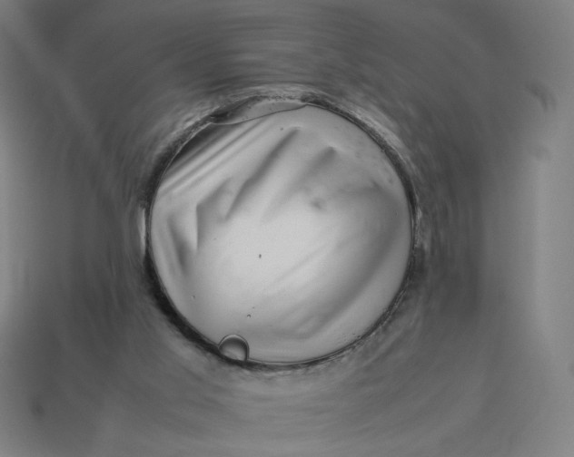 X0000113370013200910061110