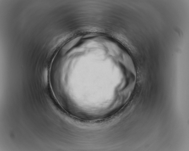 X0000113370014200910061110