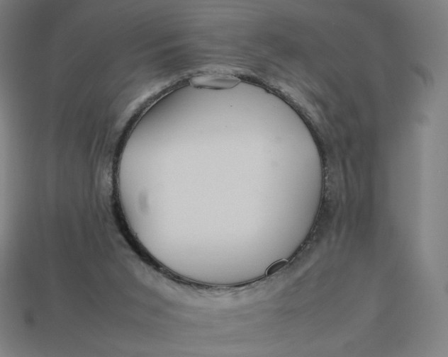 X0000113370015200910061110