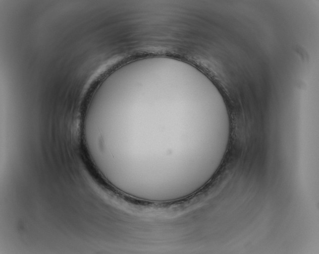 X0000113370016200910061110