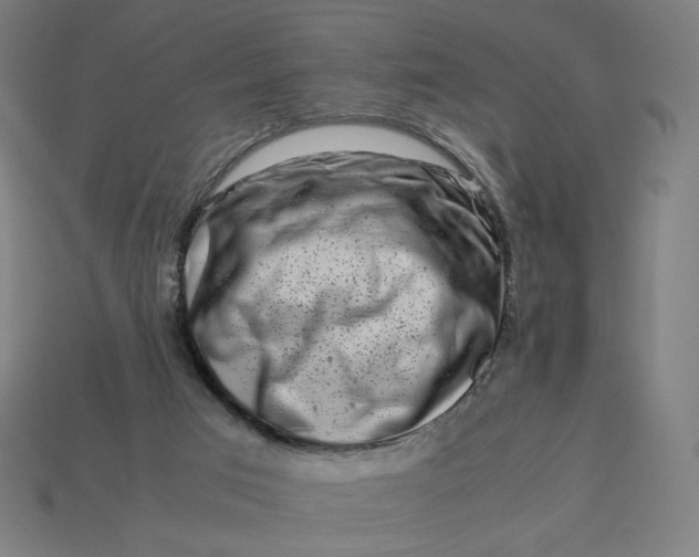 X0000113370017200910061110