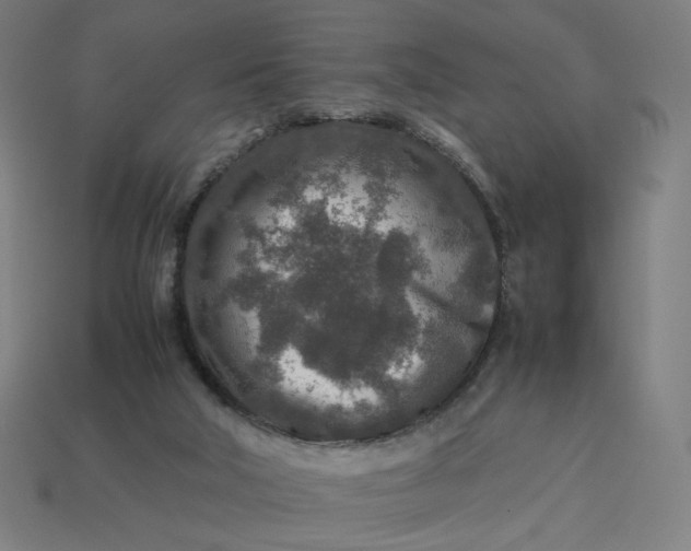 X0000113370018200910061110