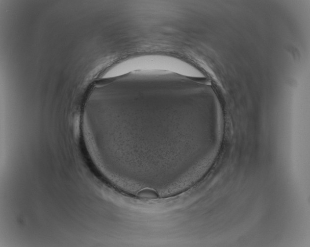 X0000113370019200910061110