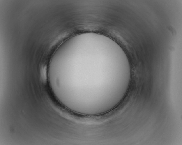 X0000113370020200910061110