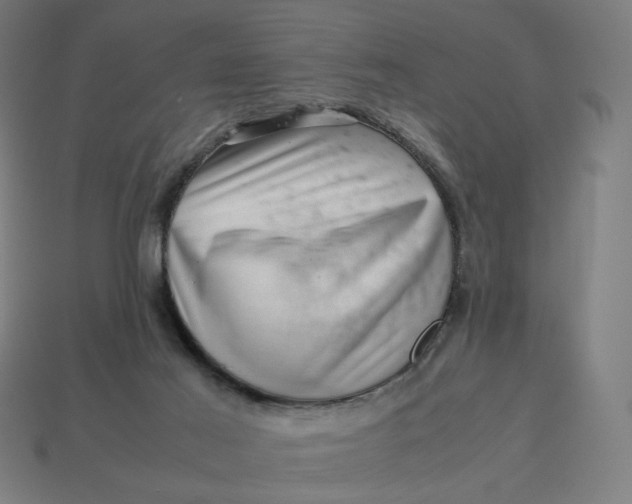 X0000113370021200910061110