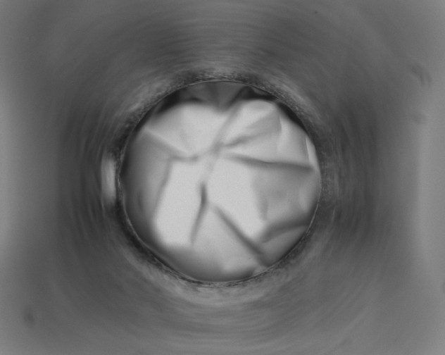 X0000113370022200910061109
