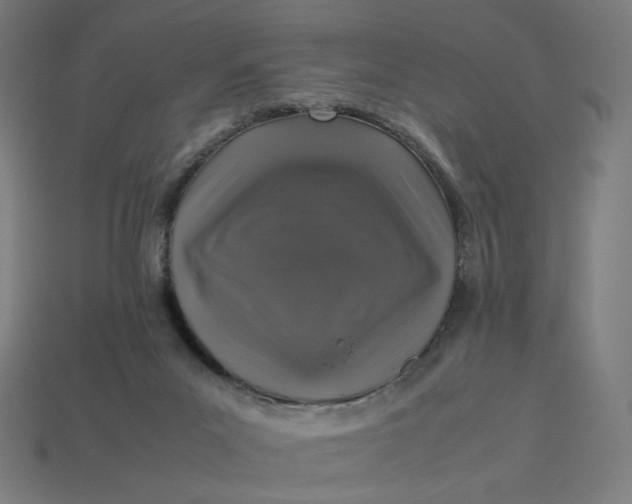 X0000113370023200910061109