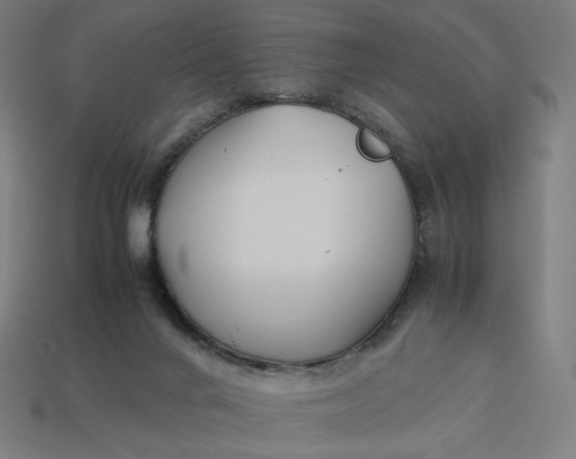 X0000113370024200910061109