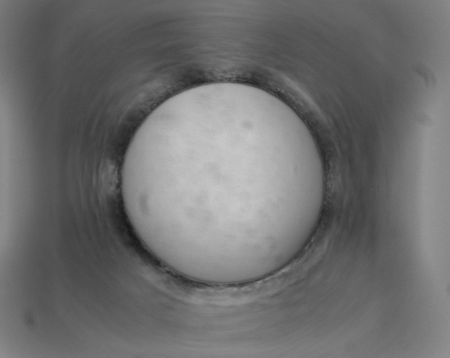 X0000113370025200910061109