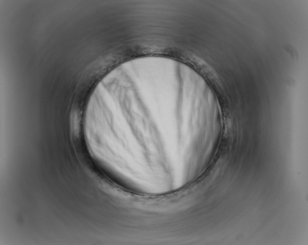 X0000113370026200910061109