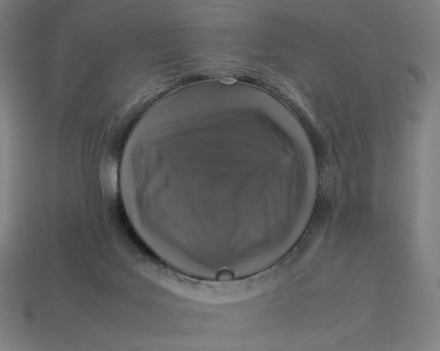 X0000113370027200910061109