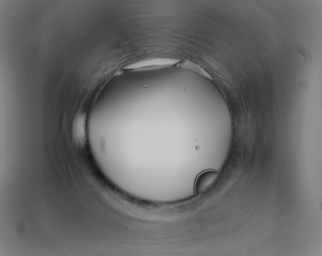 X0000113370028200910061109