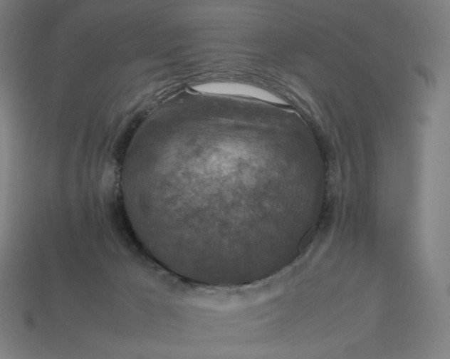 X0000113370029200910061109