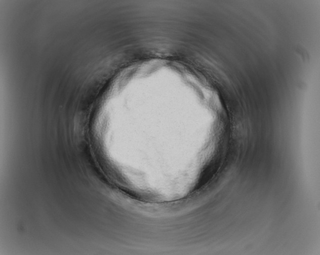 X0000113370030200910061109