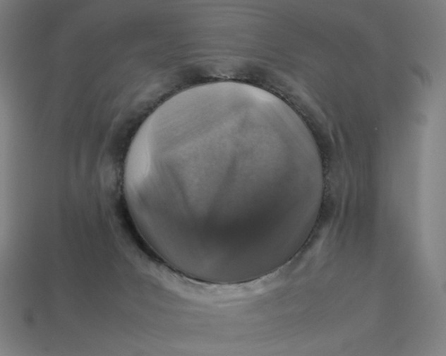 X0000113370031200910061109