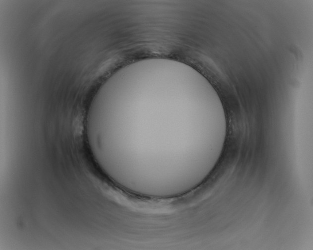 X0000113370032200910061109