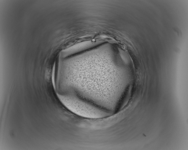 X0000113370033200910061109