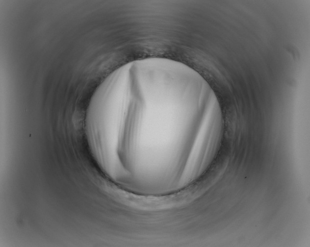 X0000113370034200910061109