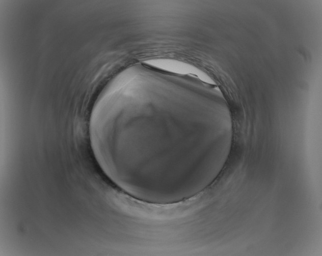 X0000113370035200910061109