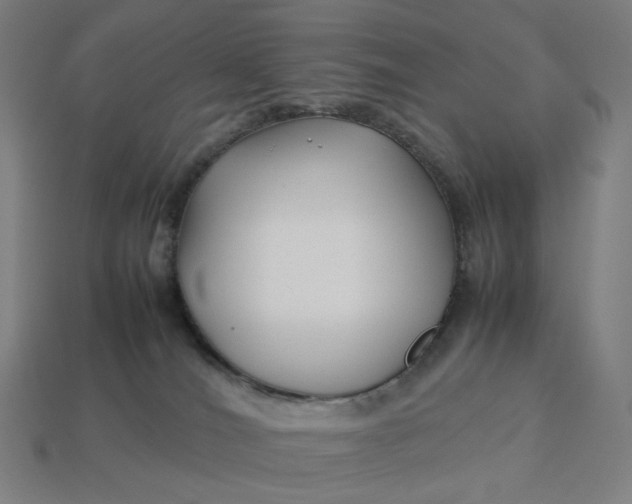 X0000113370036200910061109