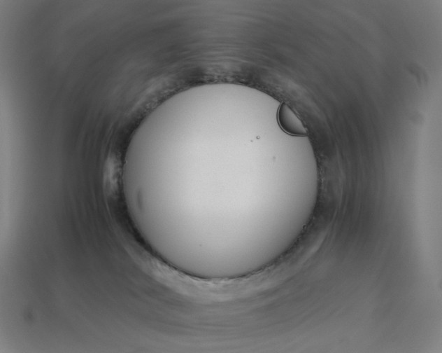 X0000113370038200910061109