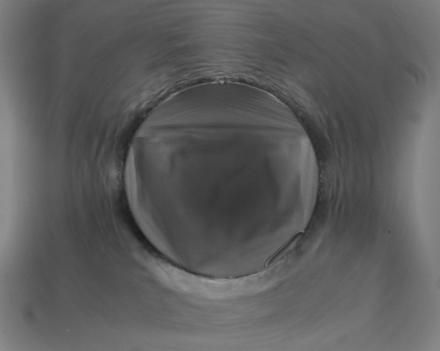 X0000113370039200910061109
