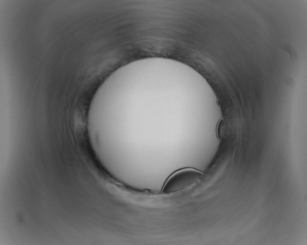 X0000113370040200910061109